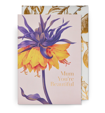 Load image into Gallery viewer, Lagom Design Friends and Relations Birthday Cards - VARIOUS