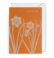 Load image into Gallery viewer, LD Cards For Any Occasion