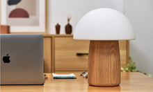 Load image into Gallery viewer, LARGE Alice Mushroom Lamp
