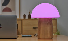 Load image into Gallery viewer, LARGE Alice Mushroom Lamp