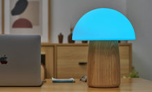 Load image into Gallery viewer, LARGE Alice Mushroom Lamp