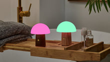 Load image into Gallery viewer, Alice Mushroom Lamp