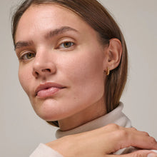 Load image into Gallery viewer, EC Ball Hoops