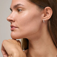 Load image into Gallery viewer, EC Ball Hoops