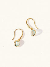 Load image into Gallery viewer, LUCIER-Birthstone Gemstone Hook Earrings