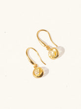 Load image into Gallery viewer, LUCIER-Birthstone Gemstone Hook Earrings
