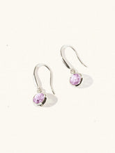 Load image into Gallery viewer, LUCIER-Birthstone Gemstone Hook Earrings