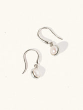 Load image into Gallery viewer, LUCIER-Birthstone Gemstone Hook Earrings