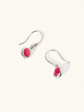 Load image into Gallery viewer, LUCIER-Birthstone Gemstone Hook Earrings