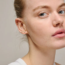 Load image into Gallery viewer, Mini sunshine studs