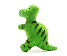 Load image into Gallery viewer, FLATTY KNITTED SENSORY DINOSAURS
