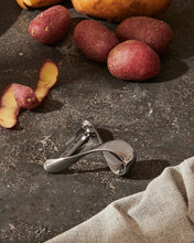 Load image into Gallery viewer, SFRIDO potato peeler