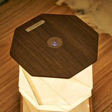 Load image into Gallery viewer, G036BK_Twist Hexagon Lamp