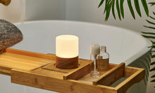 Load image into Gallery viewer, Lemelia Light Gingko Design