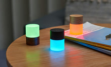 Load image into Gallery viewer, Lemelia Light Gingko Design