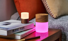 Load image into Gallery viewer, Lemelia Light Gingko Design