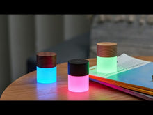 Load and play video in Gallery viewer, Lemelia Light Gingko Design