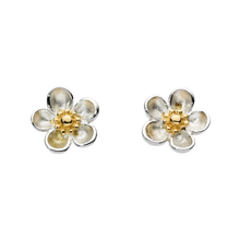 Load image into Gallery viewer, Kit Heath Blossom Wood Rose Gold Plate Stud Earrings
