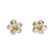 Load image into Gallery viewer, Kit Heath Blossom Wood Rose Gold Plate Stud Earrings
