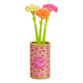 Pen bouquet carnations -set of 3