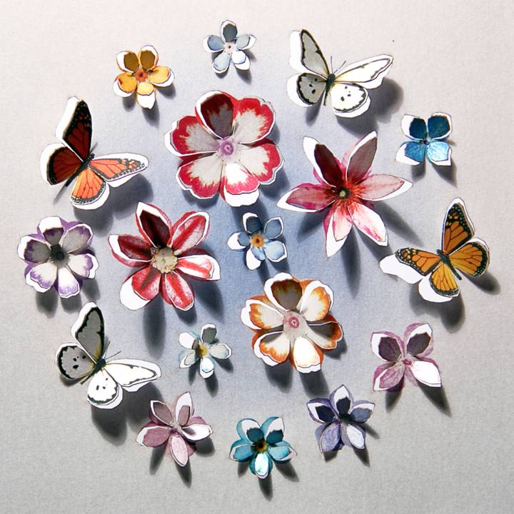 Forever 'push out' 3D sculpture effect Greeting Card - butterflies and flowers