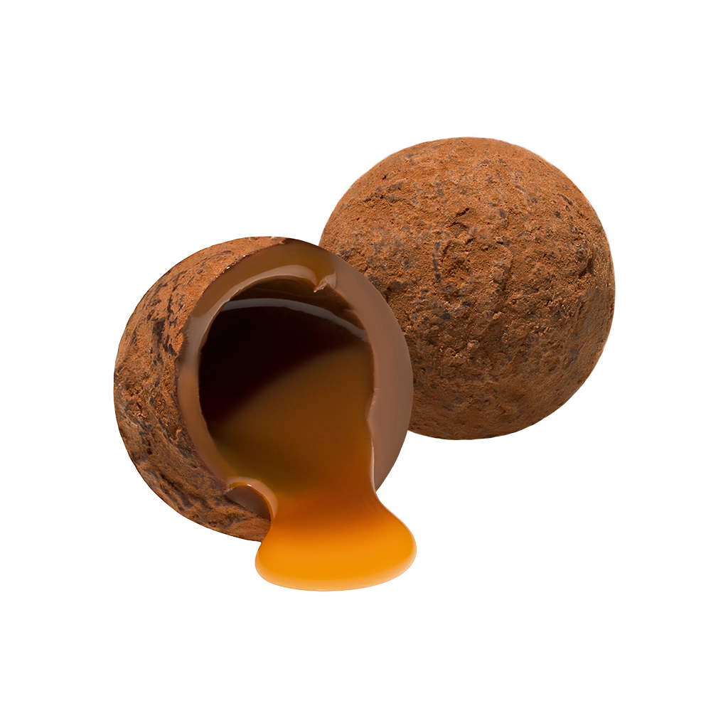 Chocolate Truffles (6 Truffles)