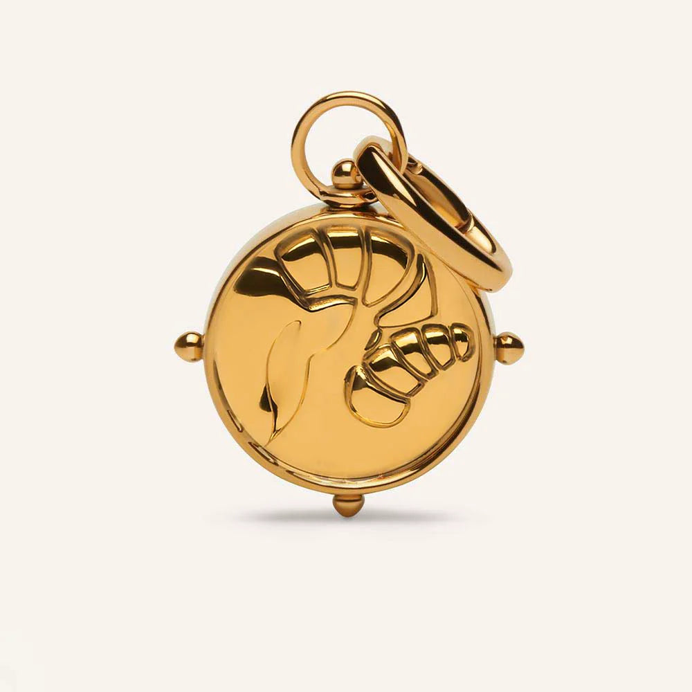 ZODIAC DOUBLE-SIDED CHARMS by  Coluri - ORA SHEFFIELD