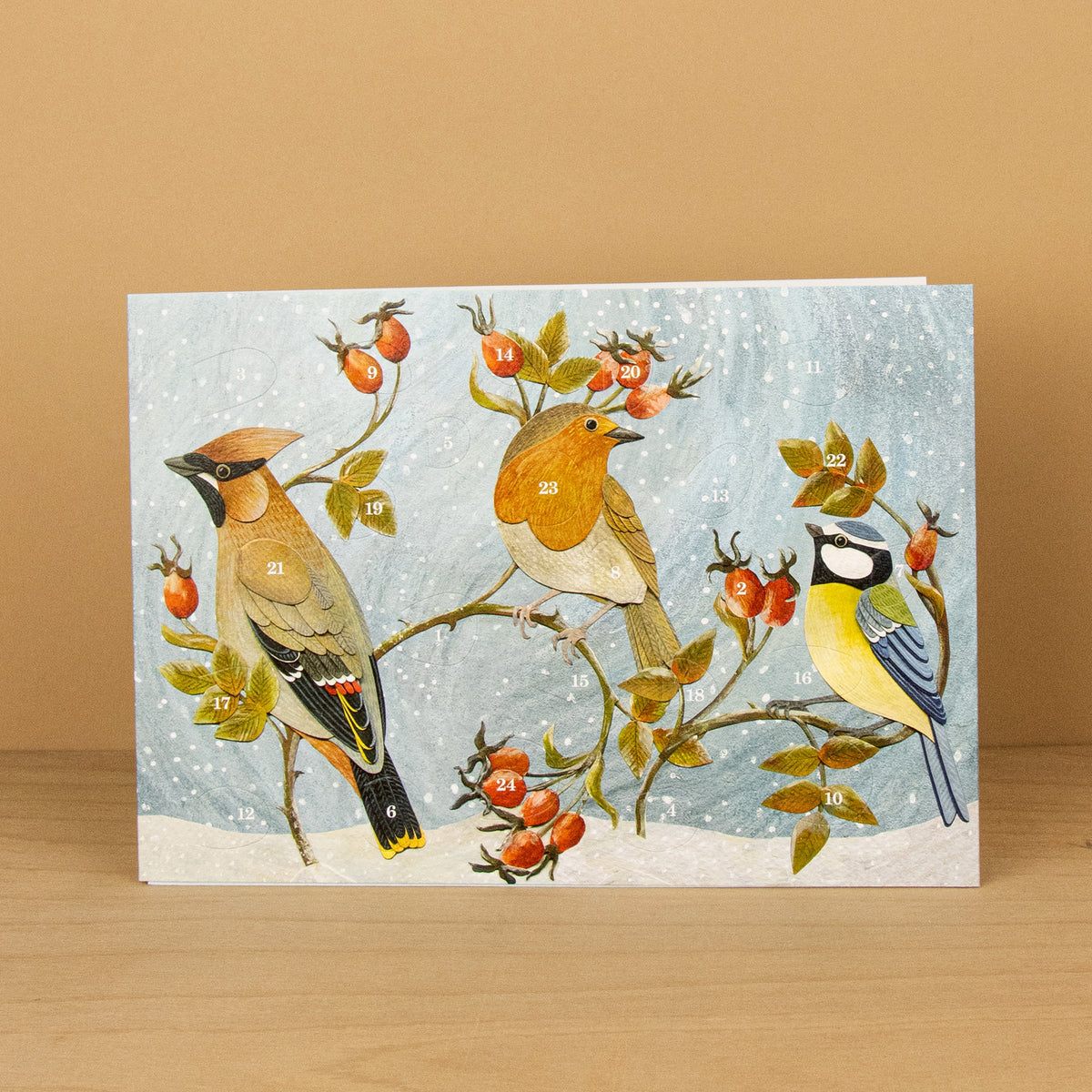 Winter Hedgerow Advent Card by Alice Melvin, Art Angels