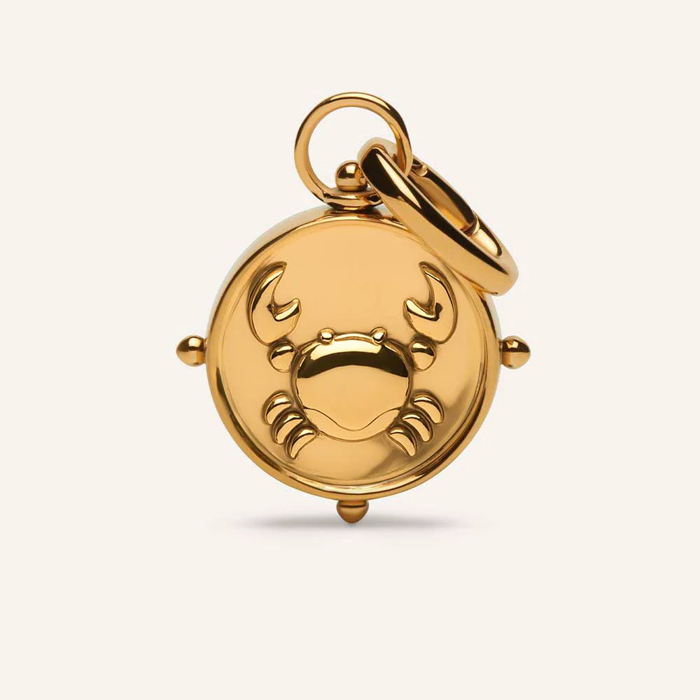 ZODIAC DOUBLE-SIDED CHARMS by  Coluri - ORA SHEFFIELD