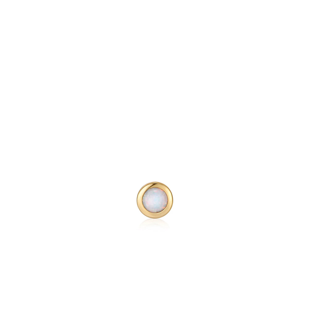 Barbell Single Earrings  £25