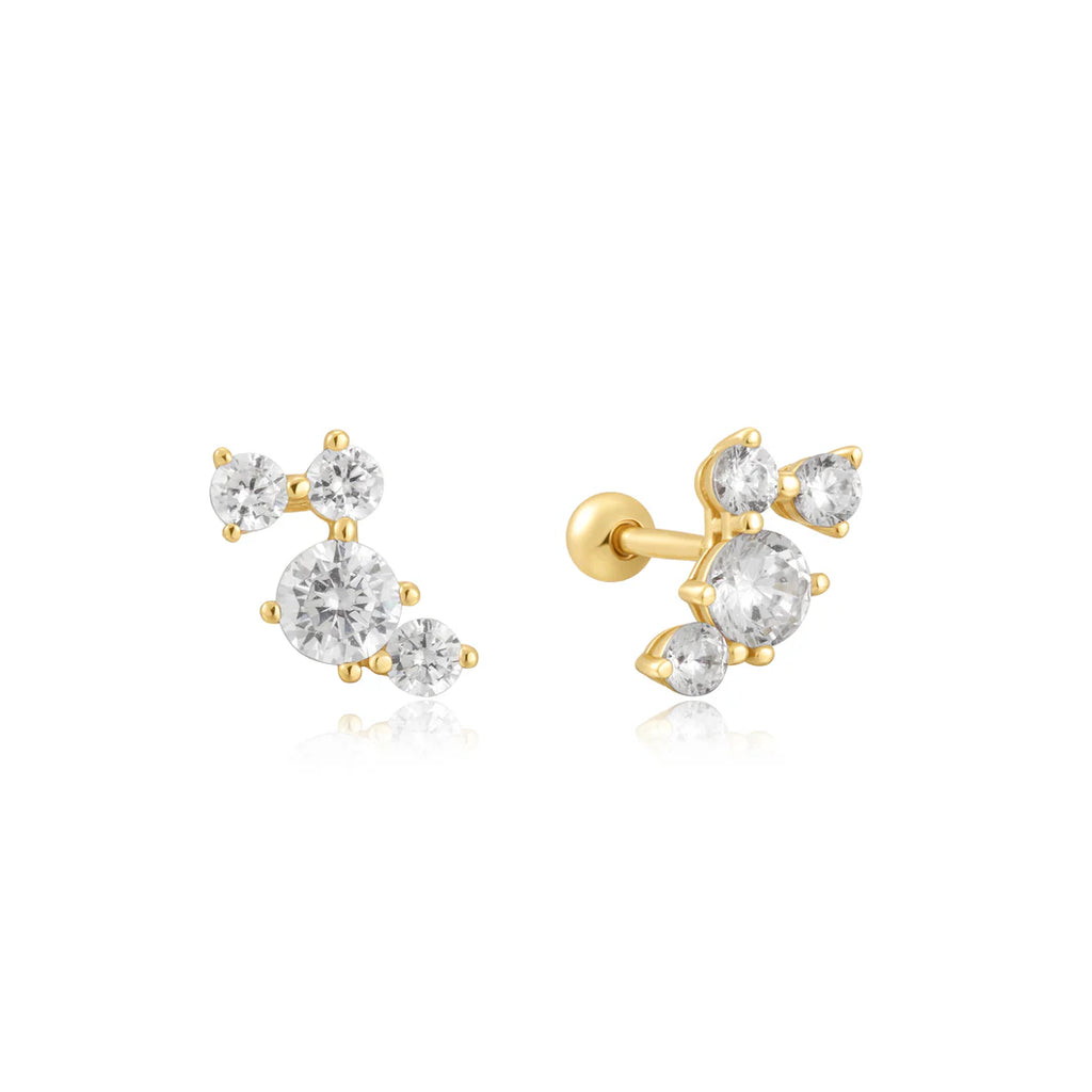Barbell Single Earrings  £25