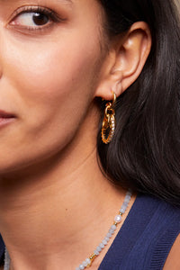 EB EDIT Multi Hoop CZ Earrings - Gold Plated