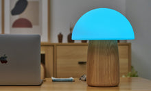 Load image into Gallery viewer, LARGE Alice Mushroom Lamp
