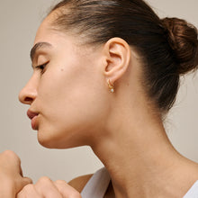Load image into Gallery viewer, EC Belle Hoops
