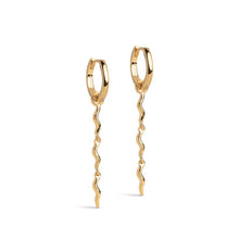 Load image into Gallery viewer, EC Hydrus Hoops
