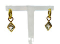 Gemstones Huggies  earrings