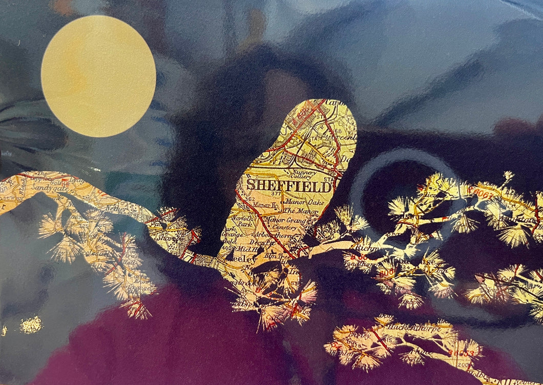 Sheffield map/birds card- Tawny Owl