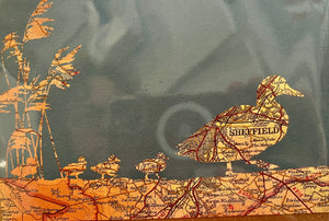 Sheffield map/birds card- Mallards