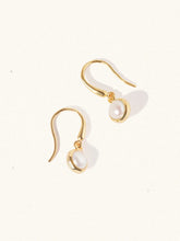 Load image into Gallery viewer, LUCIER-Birthstone Gemstone Hook Earrings
