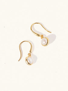 LUCIER-Birthstone Gemstone Hook Earrings