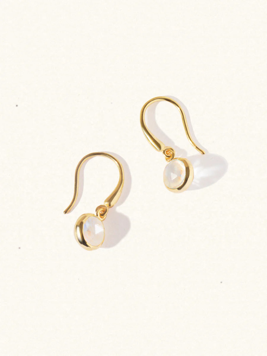 LUCIER-Birthstone Gemstone Hook Earrings