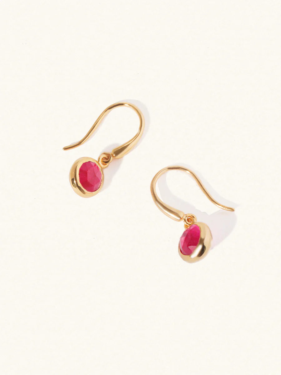 LUCIER-Birthstone Gemstone Hook Earrings