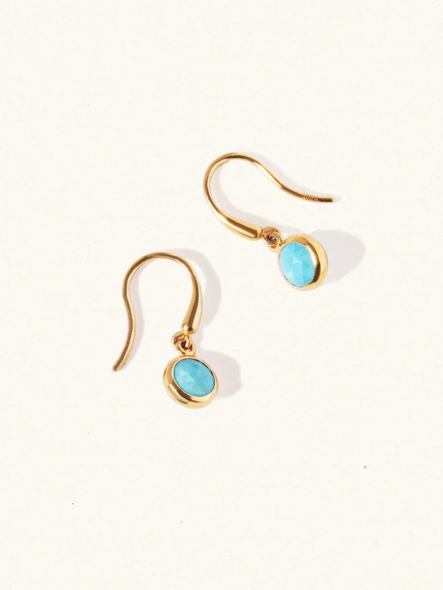 LUCIER-Birthstone Gemstone Hook Earrings