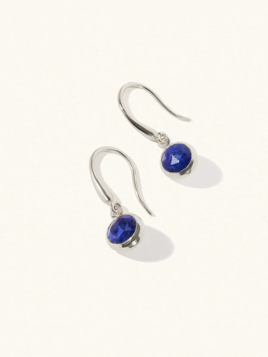 LUCIER-Birthstone Gemstone Hook Earrings