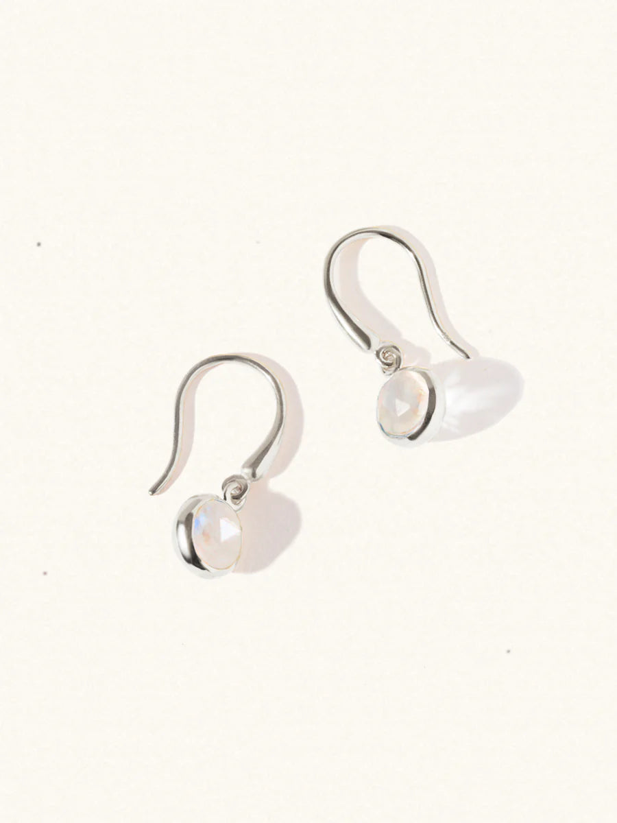 LUCIER-Birthstone Gemstone Hook Earrings