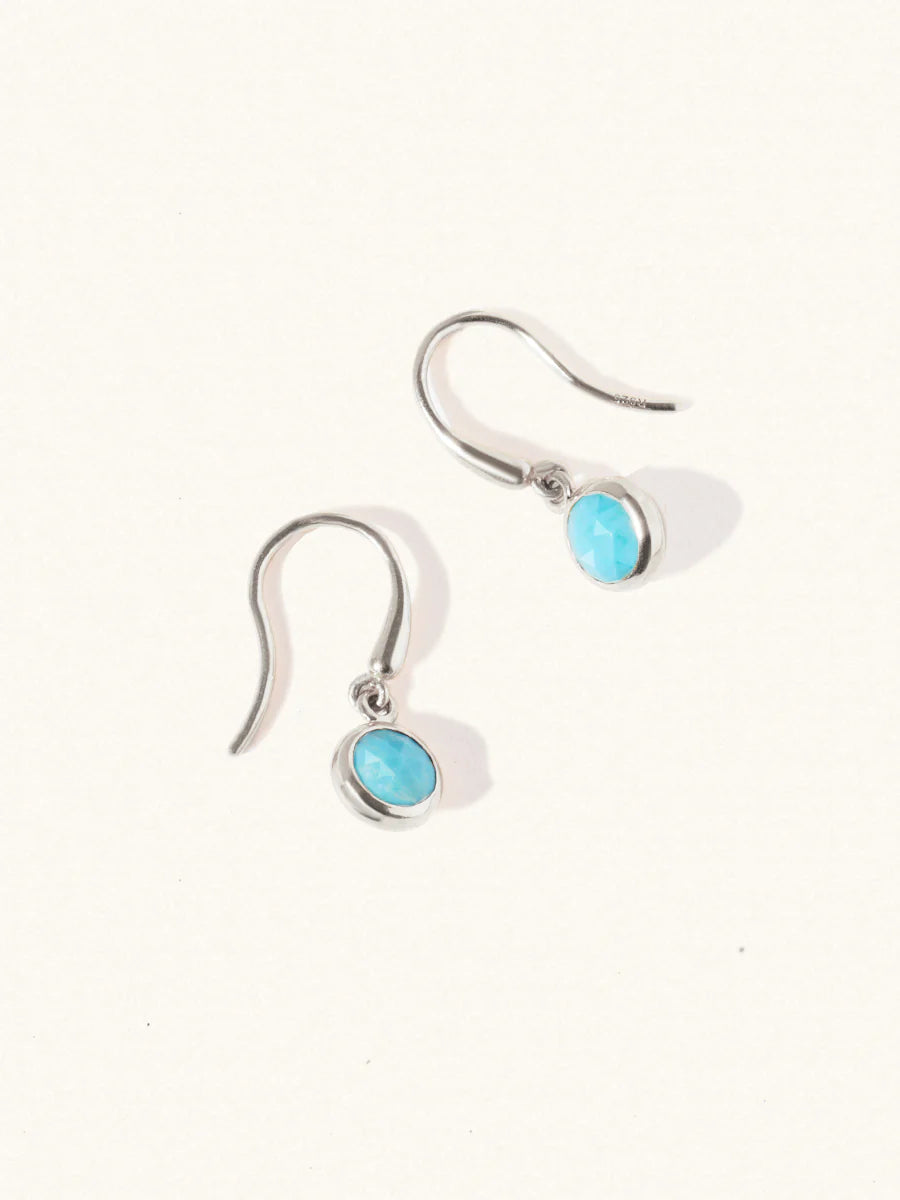 LUCIER-Birthstone Gemstone Hook Earrings