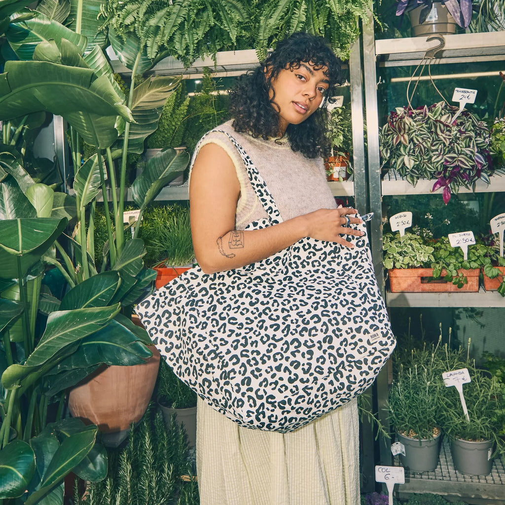 Model carrying bag
