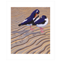 Preening Pair Greeting Card