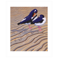 Preening Pair greeting card by Robert Gillmor, bird linocut print, ORA Gallery