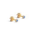 Enamel dot studs
